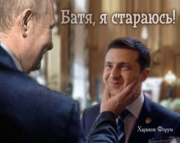 3239252f7f8464524.webp