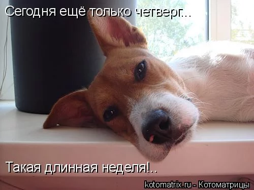 32396187_z.webp