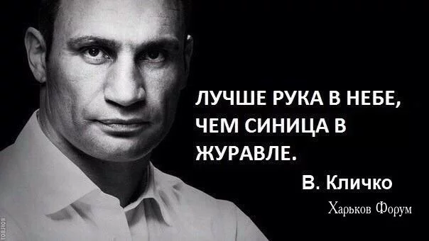 3241a467a602a66395cd15b9.webp