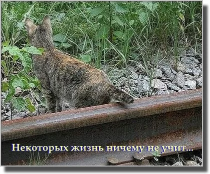 3246447.webp