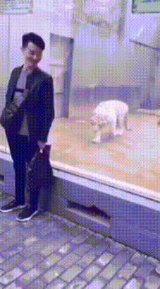 326005_1083522.gif