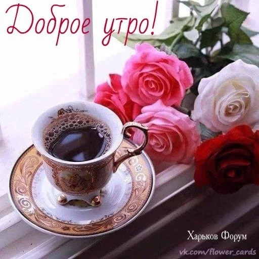 3262242ee937c4d401bb8c2.webp
