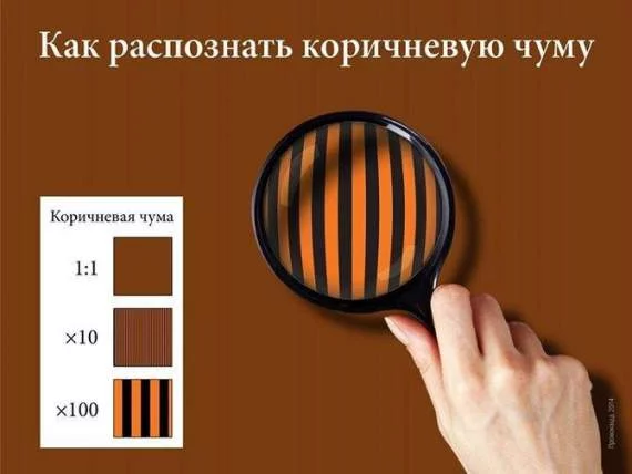 3272430_original.webp