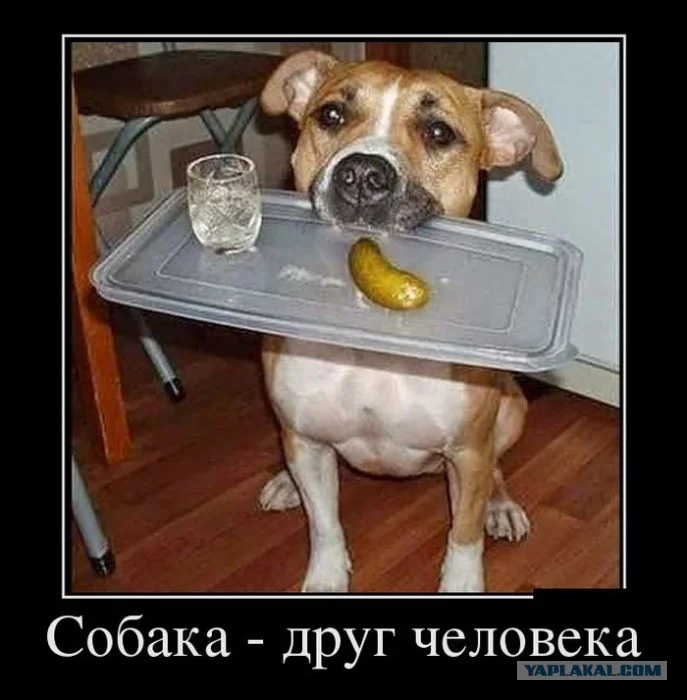 3281610.webp