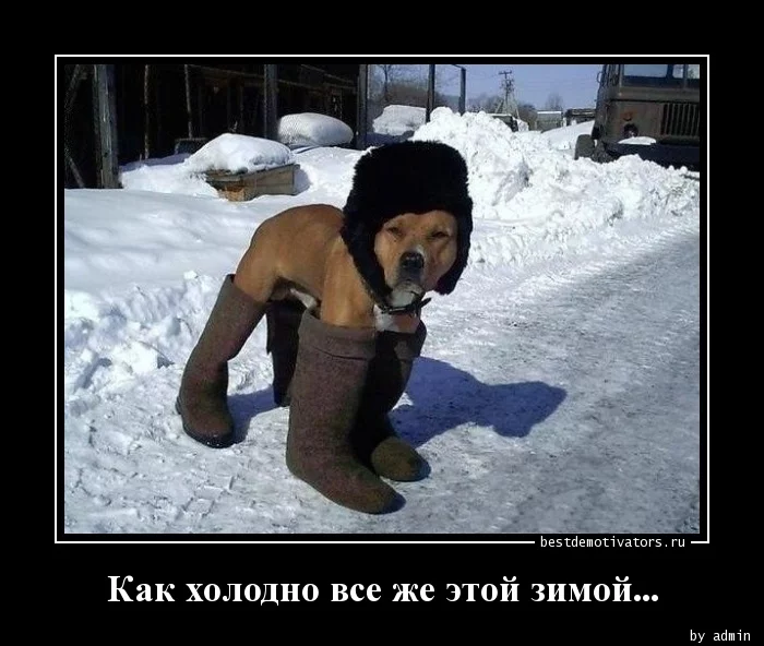 328337847_Kak-holodno-vse-zhe-_bestdemotivators.ru.webp