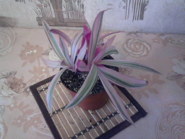3289895_m.webp