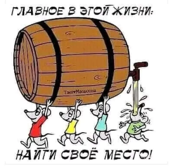 328dd1073bf044d7aa2571.webp