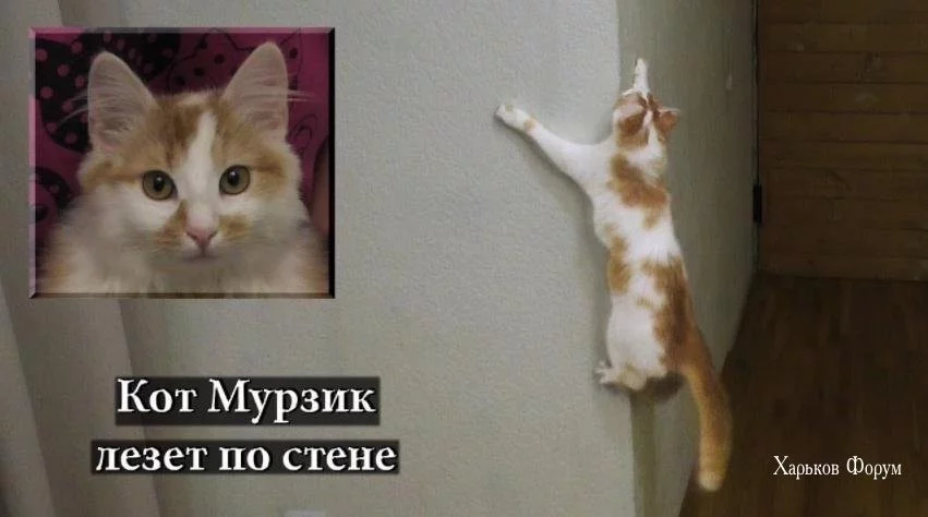 328e51d8b83dbd6489.webp