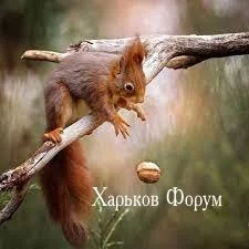 32956eb28f914995d5b7d.webp