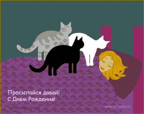 3295eee9ad36c6cf4b190dd5ffaa7612.gif
