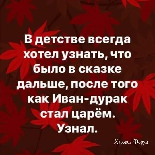 329e5125956e041e81.webp