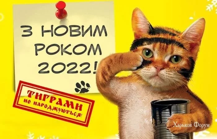 329f0ac0a21ea3a8ea.webp