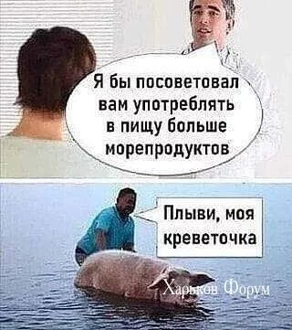 32cdbe21cad2cca480c74.webp
