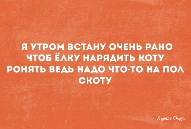 32e7c1d6a2f556a5c8e7b48.jpg