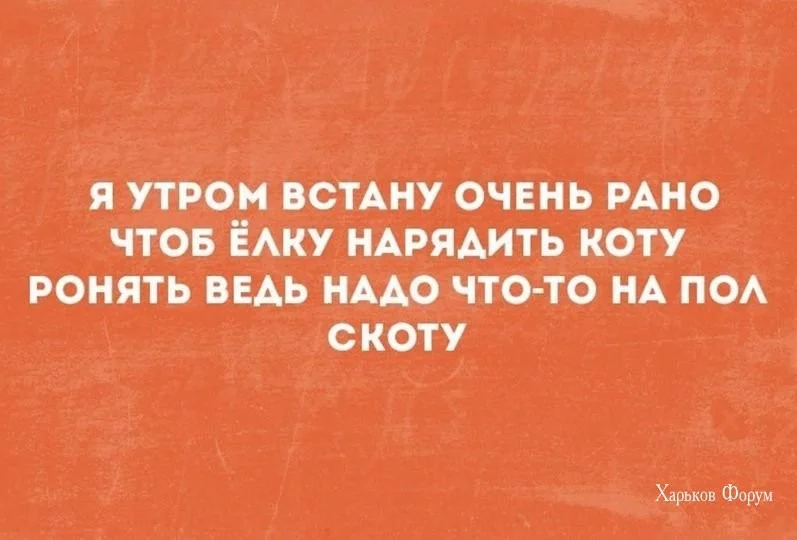32e7c1d6a2f556a5c8e7b48.webp