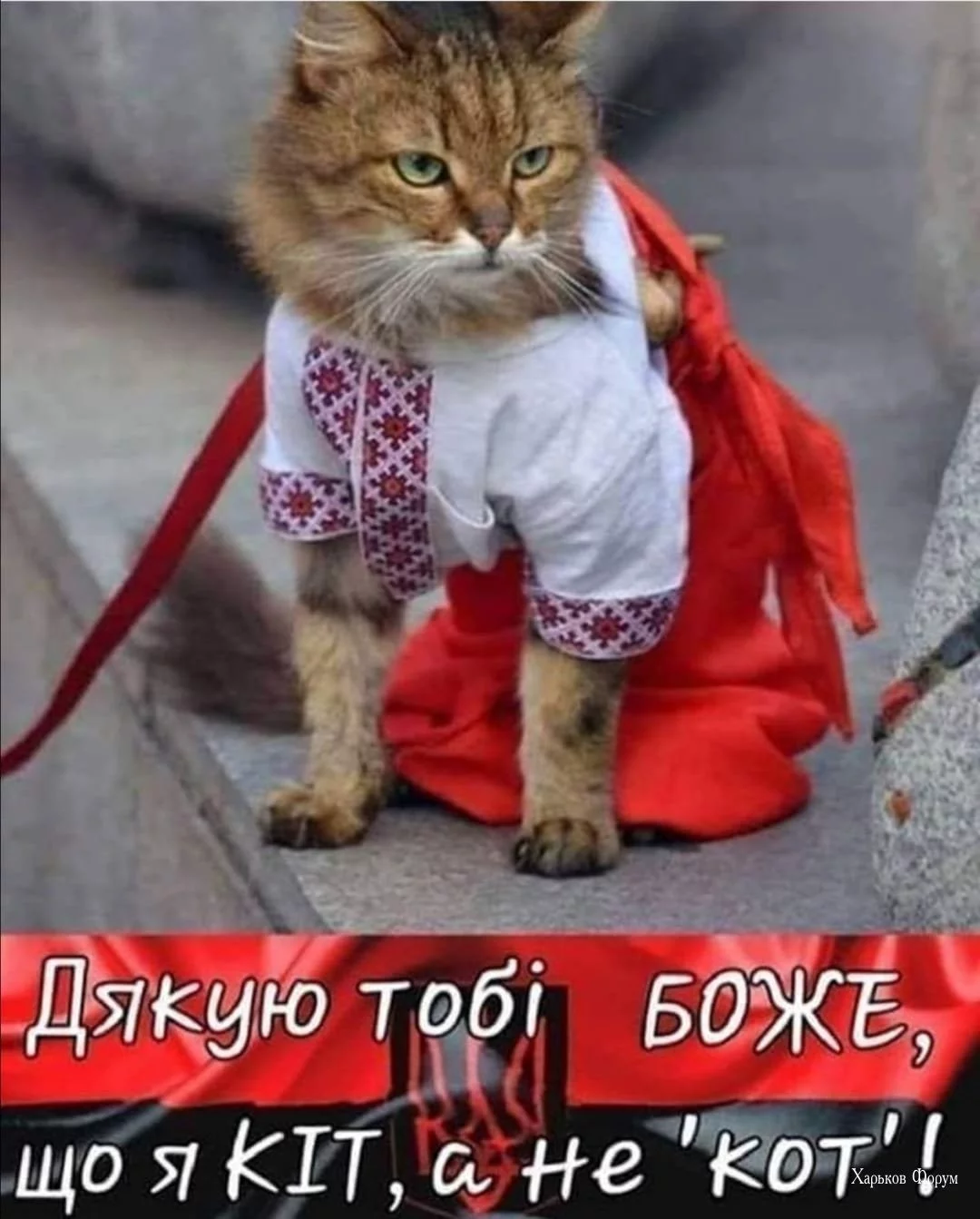 32e9e57b4d1d0f05b.webp