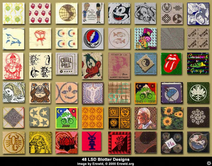 3303276_3221040_lsd_collage2.webp
