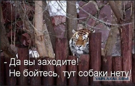 3309202.webp