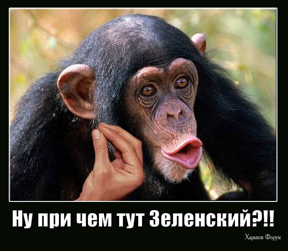 330b472456db619ce7d.webp
