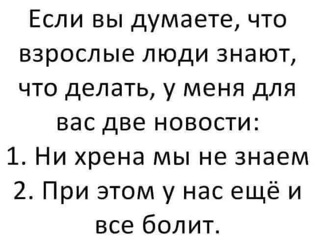 3312173acf4ffbe9d63283e9.webp
