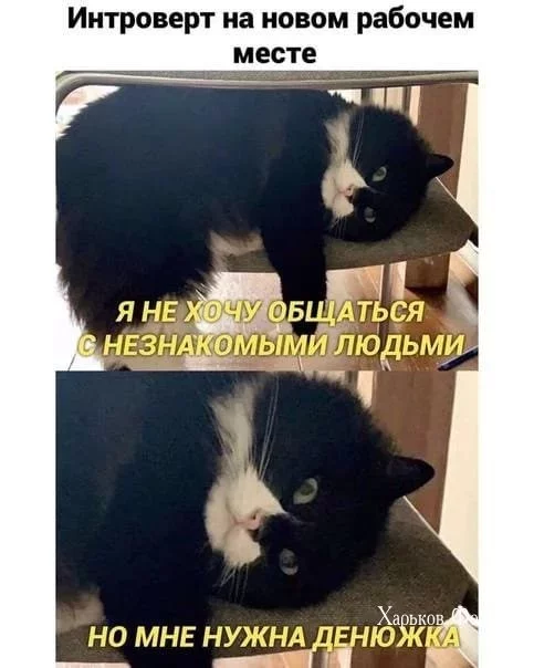 33276b8ed6c43b4f951a.webp