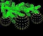 33343c7d19cb26830b9114be7701da72.webp