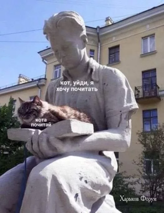 3338d49e7482d05af3c3f13.webp
