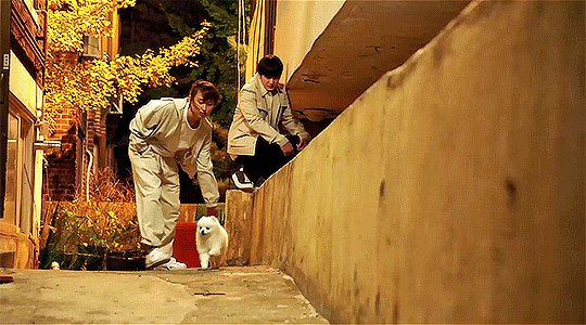 333c6eab8a081409189401977dc16540693fc0cb.gif