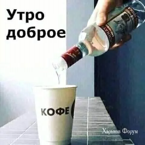 3343e201547589fc35976.webp