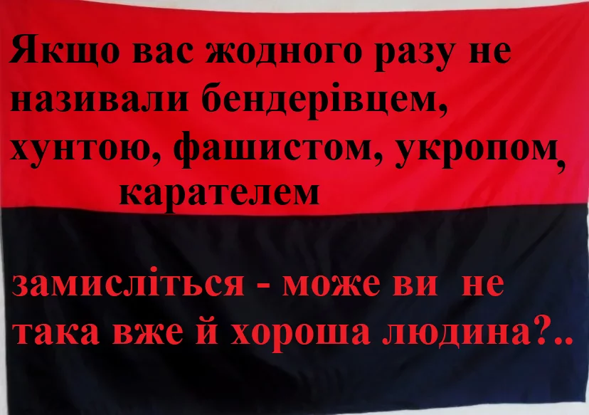 3354310.webp