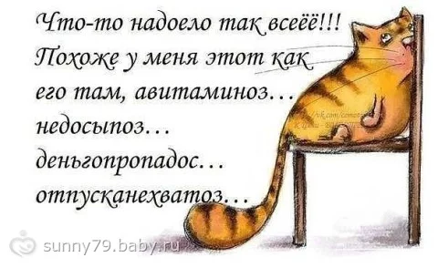 33579575.259987620.webp