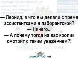 3357aee0dcd95d5152cf79a.webp