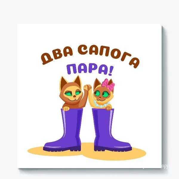 33582fe15bad21302b4959.webp