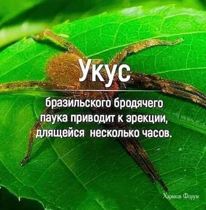 3365d7f519d2064842.webp
