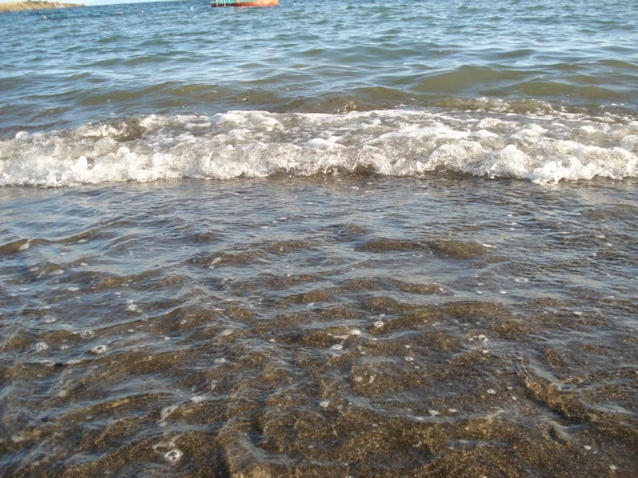 336852DSC02088_1.webp