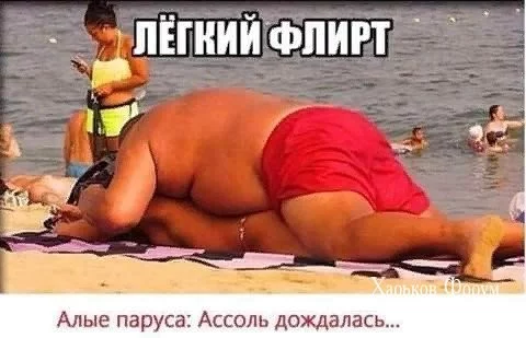 337077e949355c5ee.webp