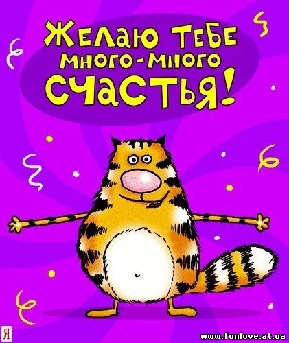 337221056.webp