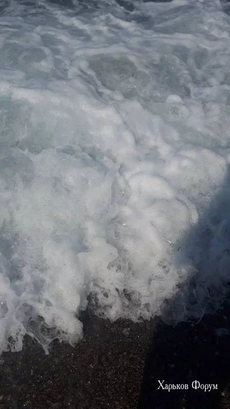 337b0634d171e328.webp