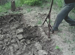 338978_original.gif