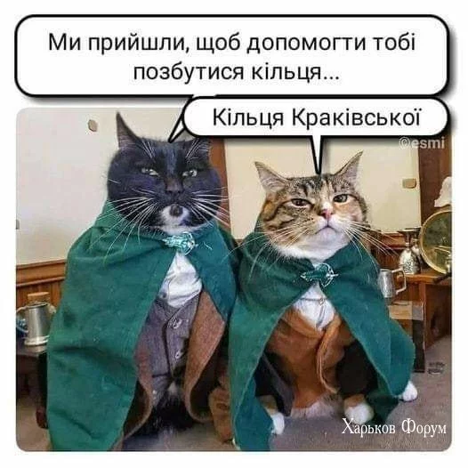 339cfedef7908718e16f1.webp