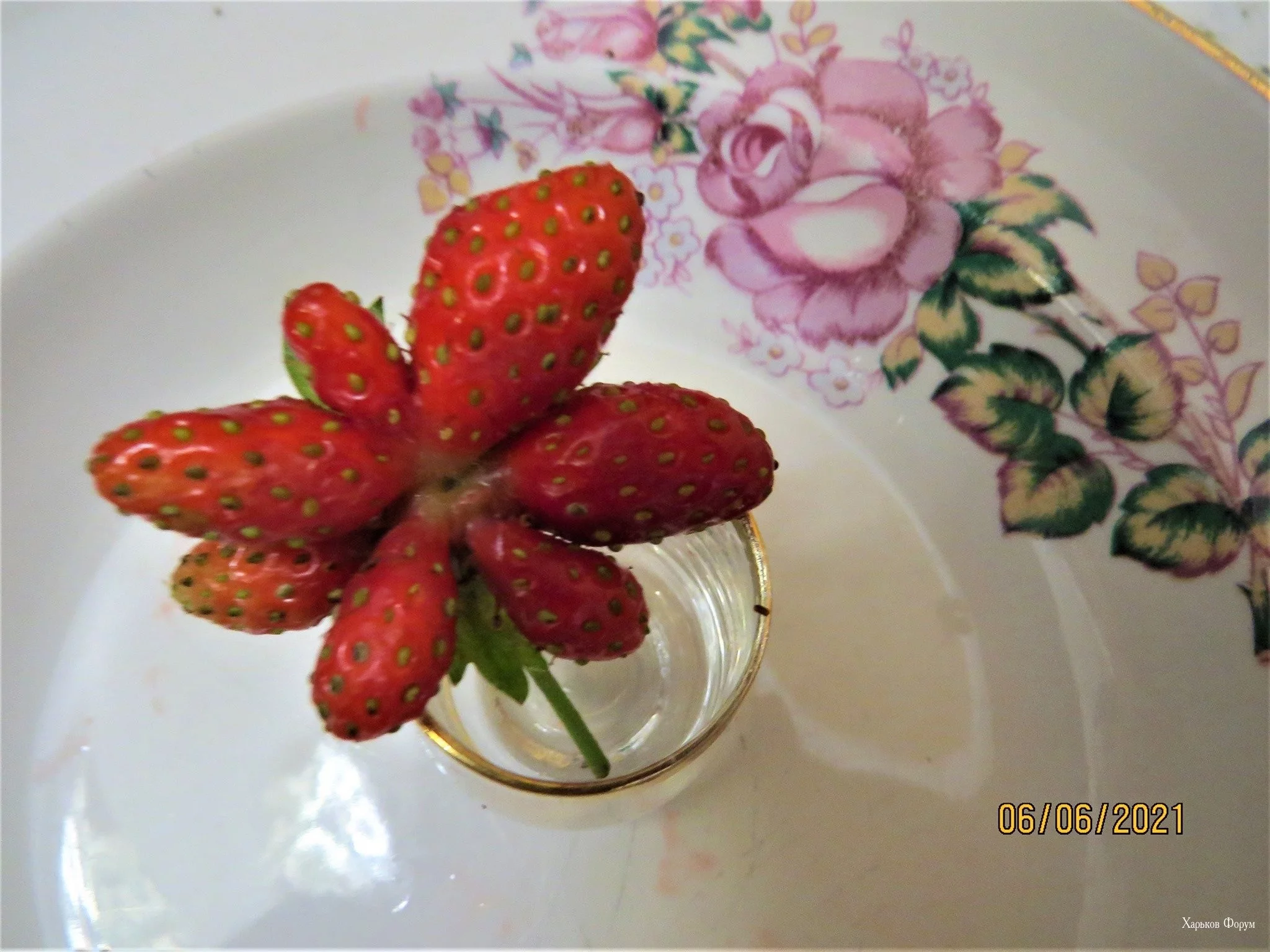 33b5e7ec32dfa0515b05.webp