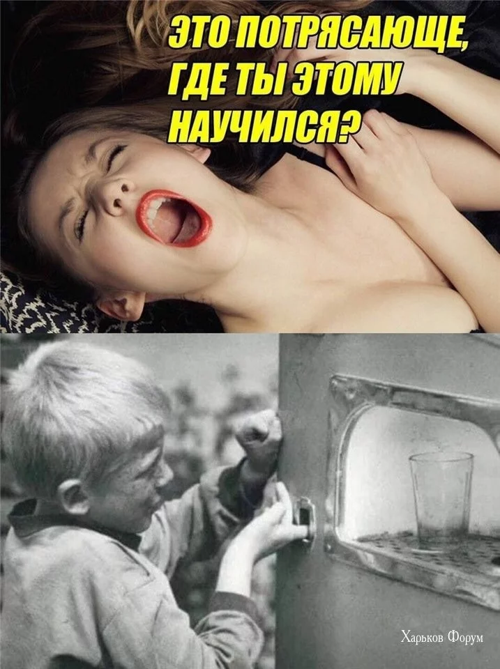 33bcadf9c0b3873ac.webp