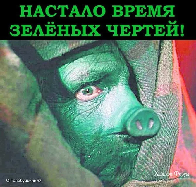 33c95c2a8bf02b089d4f.webp