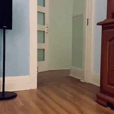 33c99db3c1ed1332fed4.gif