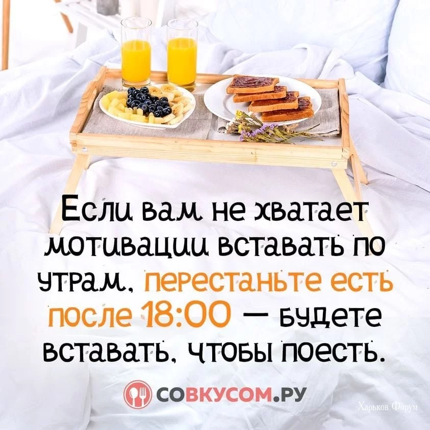 33ca77d6a9e58f14f.webp