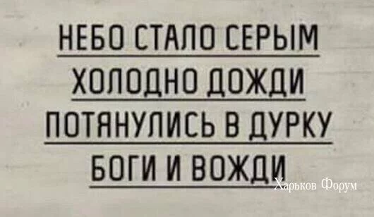 33d3874fa68380060c677dc2.webp