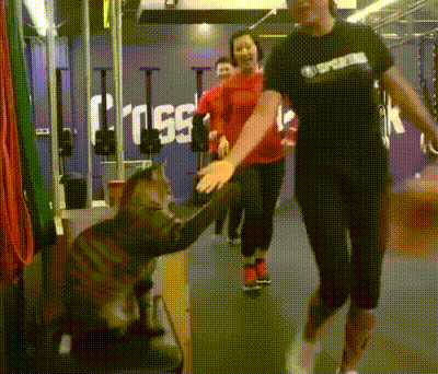 33d5af52f6b1c12790.gif