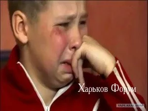33d69a6e616254cc.webp
