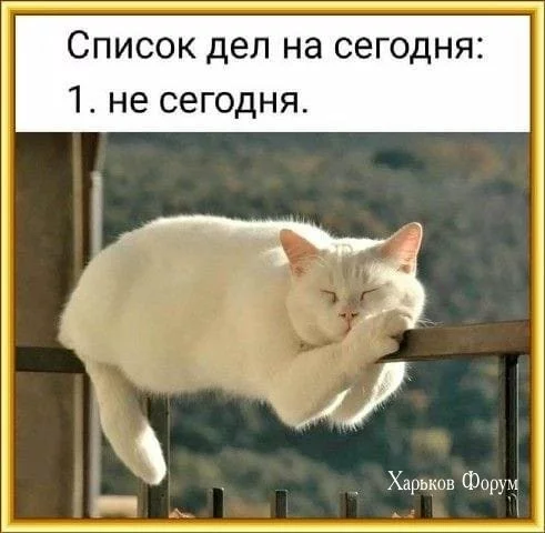 33d9e3e974a72ceed7e49d1.webp