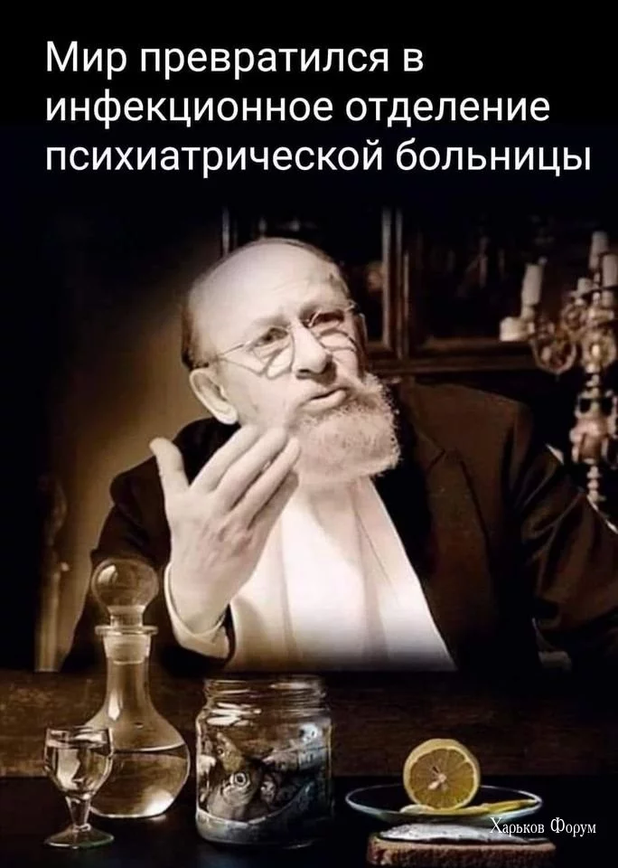 33e11d917033a351528b.webp